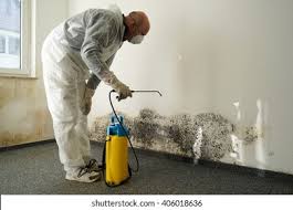  , USA Mold Removal Pros